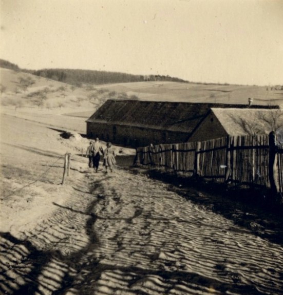 31691650731_d3b9376dcf_b