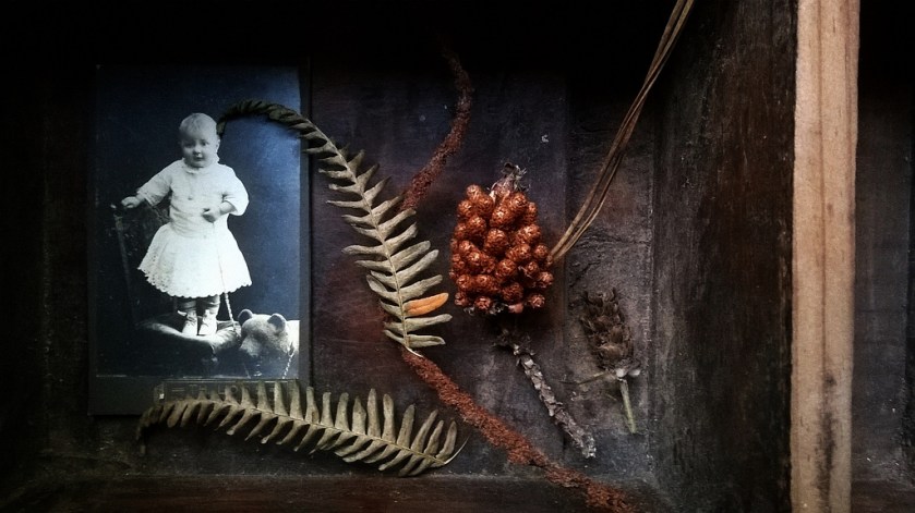 29460503446_2e7c7dc2d3_b