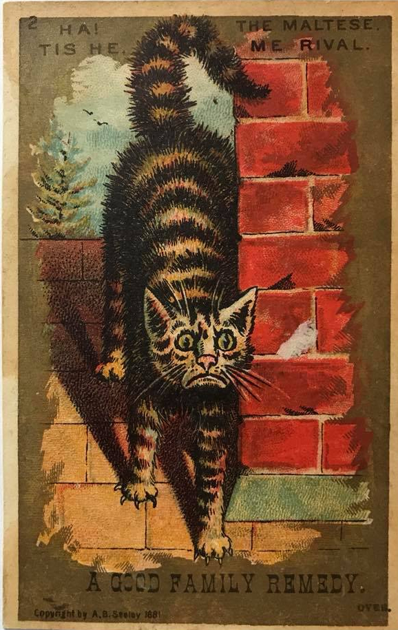 24852460_10155936062904618_543411115094951409_n