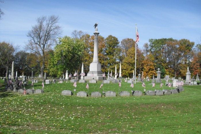 CEM64701_135051132226