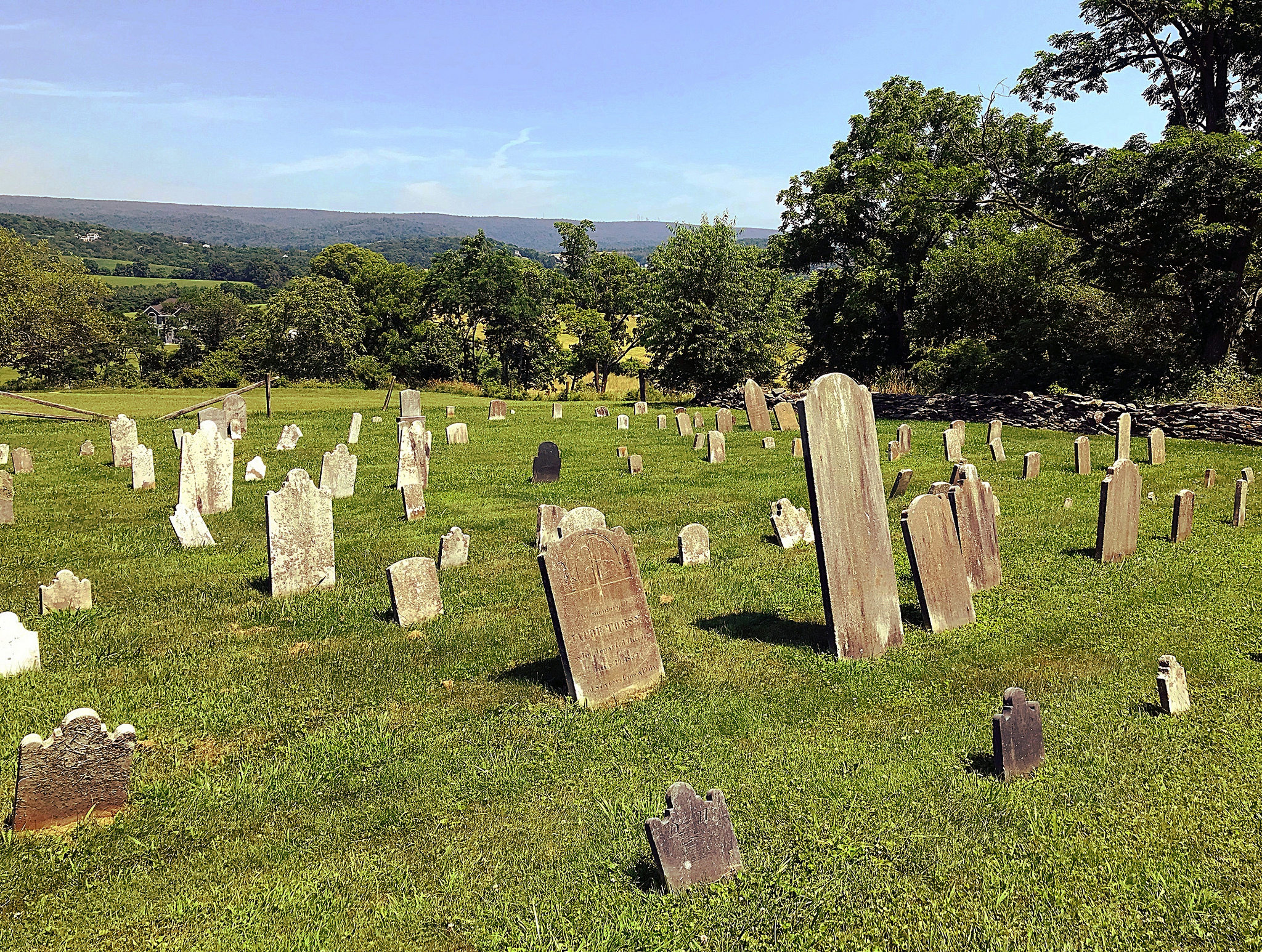 42588187084_f360bd1ebd_k